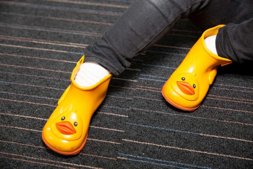 Image of two boots with ducks on them.