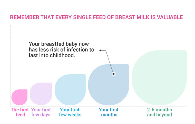 Diagram showing how your breastfed baby has less risk of infection to last into childhood