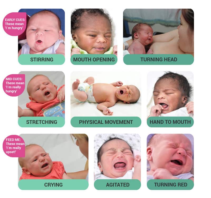 chart of different cues your baby can give you 
